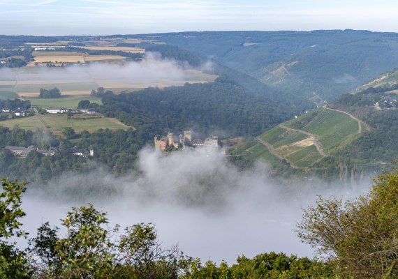 Ausblick nach Oberwesel | © Katja S. Verhoeven