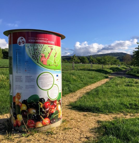 Infos&auml;ule am Kirschenpfad Filsen | &copy; Caroline Taunt