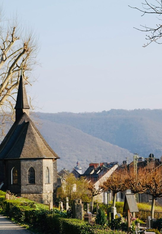 DSC03514 | &copy; AnyaFi