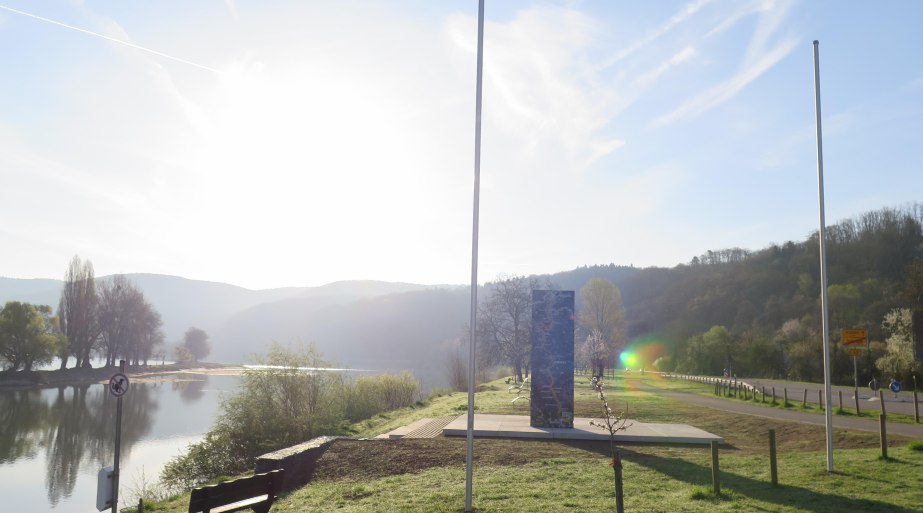 R(h)einblick | &copy; Zweckverband