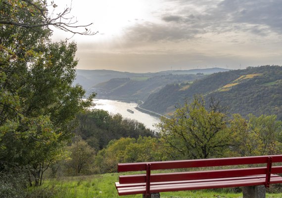 Ausblick Rheintal | &copy; Loreley Touristik GmbH