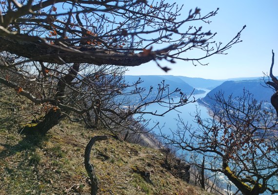 Ausblick von der Schutzhütte | © Ulrike Dallmann Ausblick von der Schutzhütte | © Ulrike Dallmann