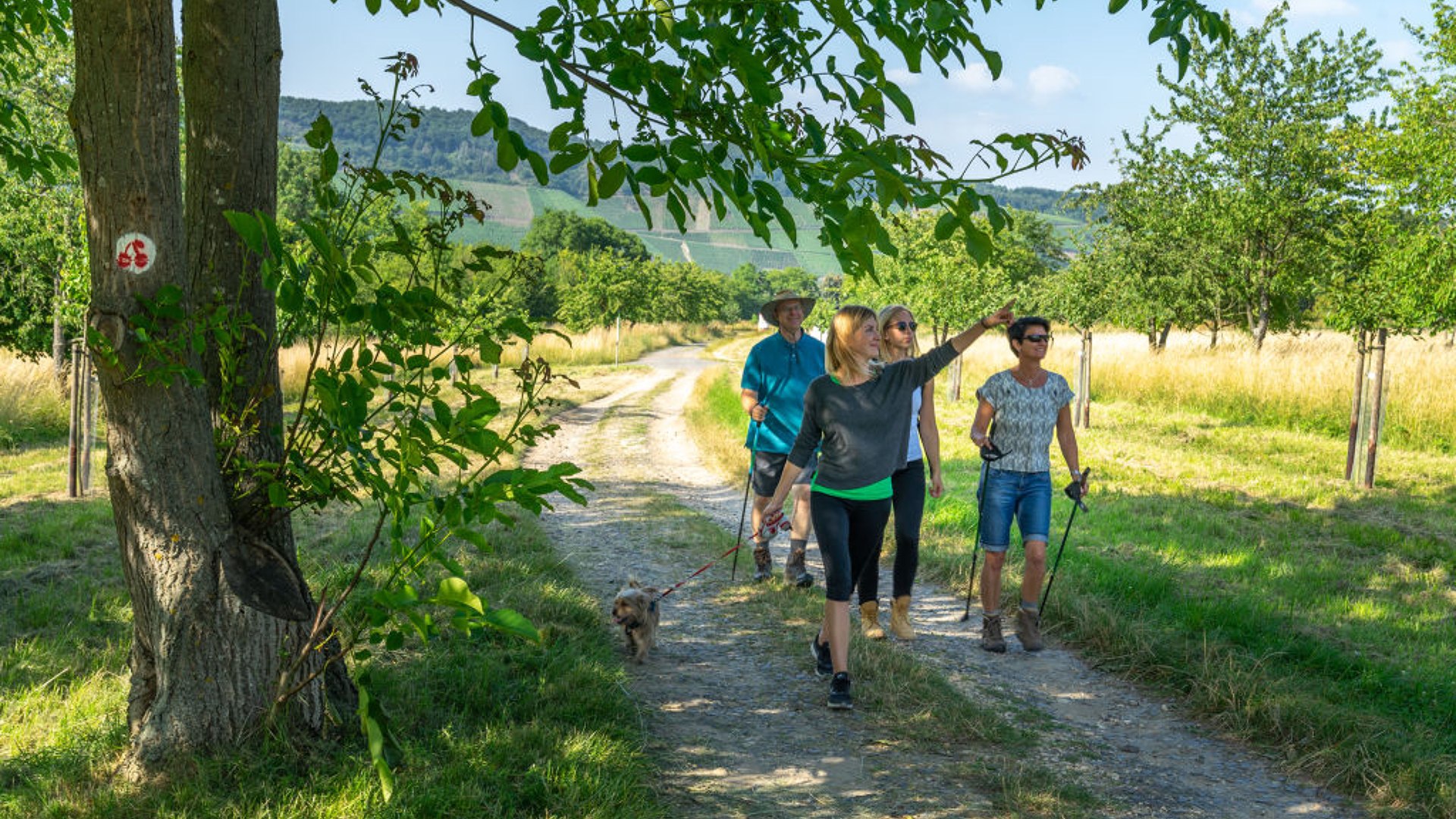 Kirschenpfad Wanderer | © Katja S. Verhoeven, Zweckverband Welterbe Oberes Mittelrhein Kirschenpfad Wanderer | © Katja S. Verhoeven, Zweckverband Welterbe Oberes Mittelrhein