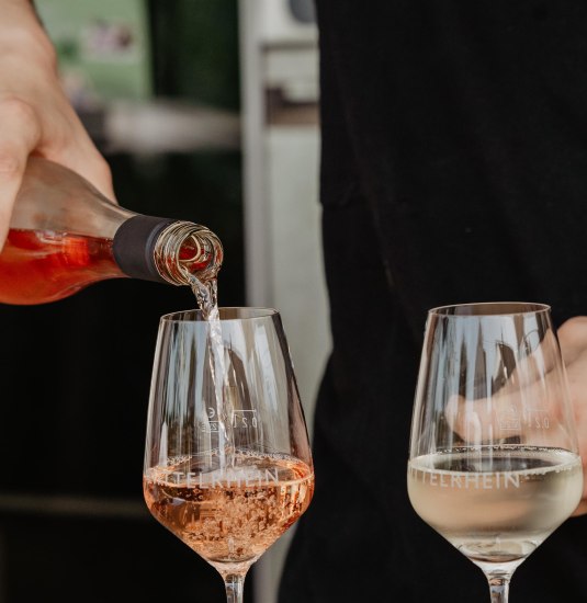 Weinprobe | © Weingut Loos Weinprobe | © Weingut Loos