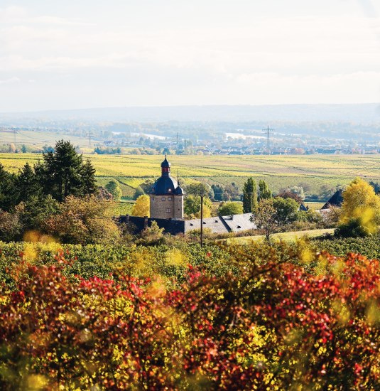 Schloss Vollrads | © Saskia Marloh Schloss Vollrads | © Saskia Marloh