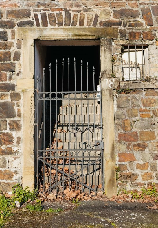 DSC03489 | &copy; AnyaFi