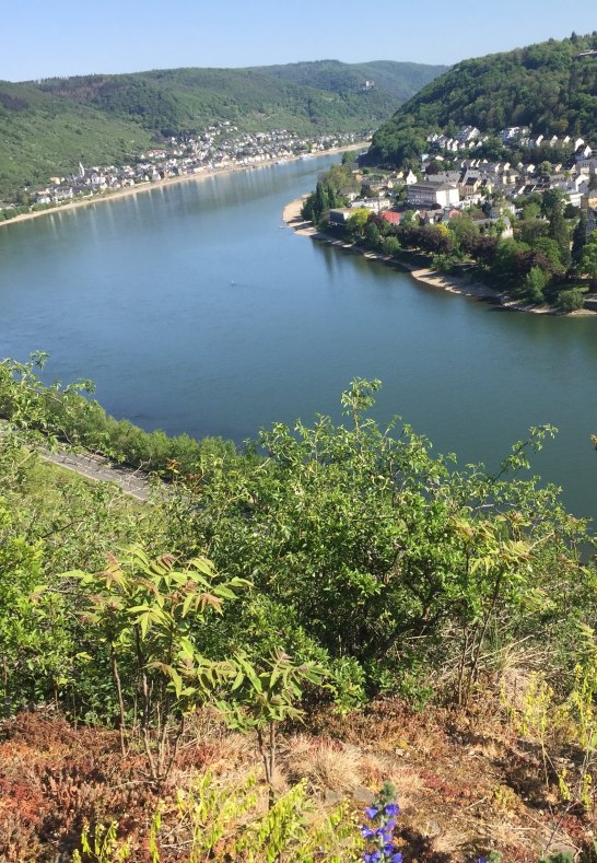 Blick vom Rheinsteig auf Boppard | &copy; Caroline Taunt