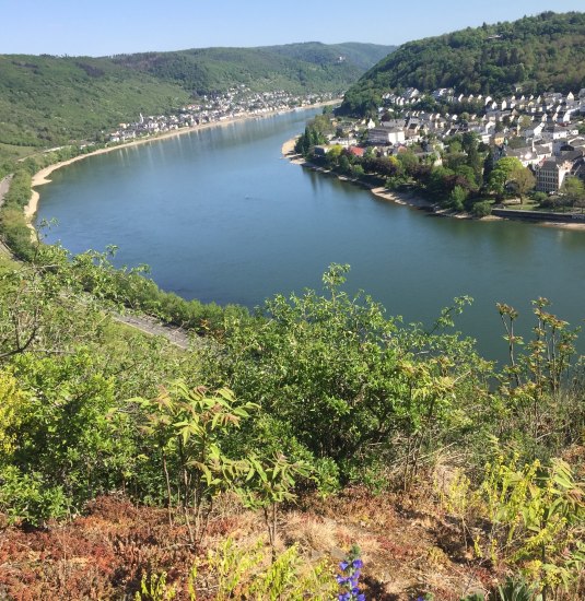 Blick vom Rheinsteig auf Boppard | &copy; Caroline Taunt