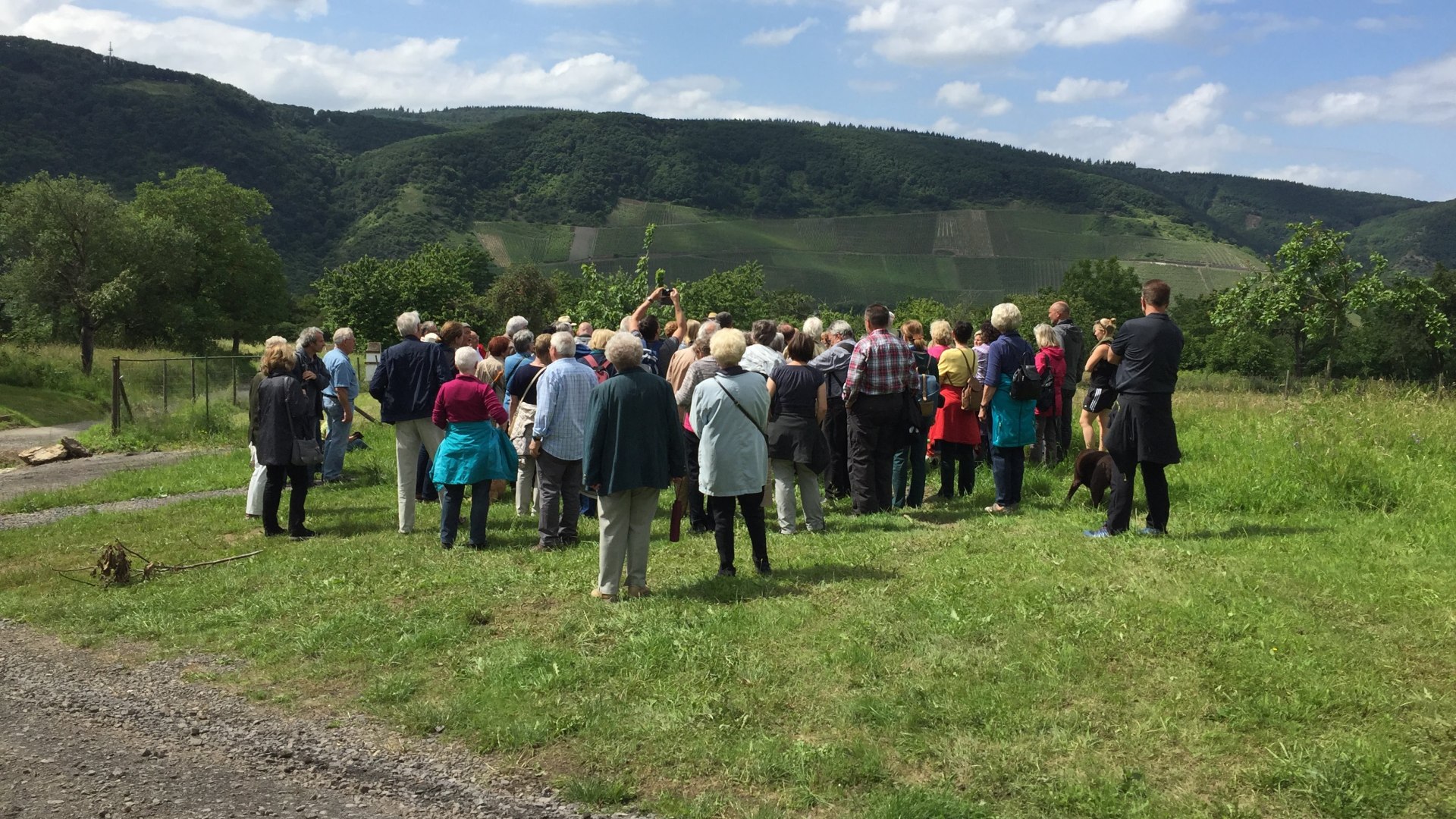 Besuchergruppe Kirschgenusswanderung | &copy; Caroline Taunt