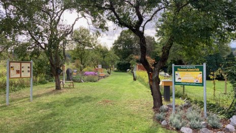 Bienenerlebnisfeld Filsen | © Stefanie Schneider Bienenerlebnisfeld Filsen | © Stefanie Schneider