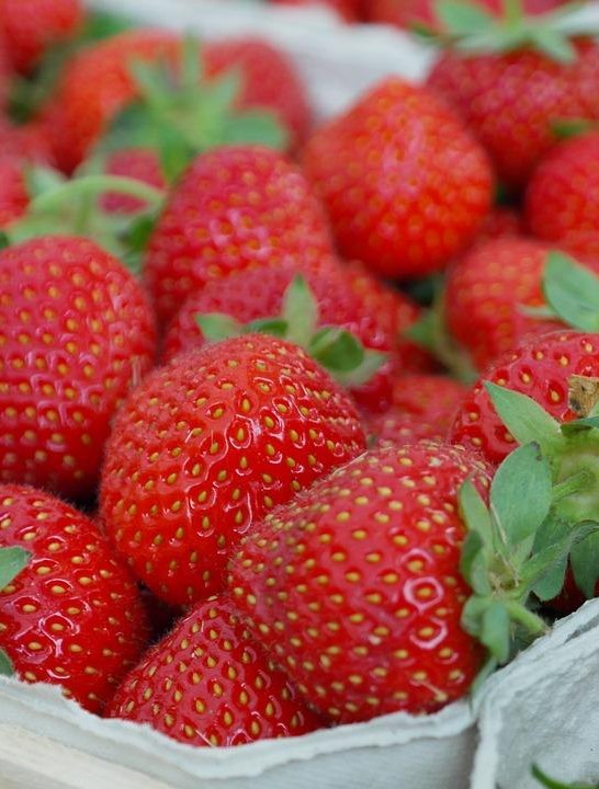 Erdbeeren | &copy; Pixabay