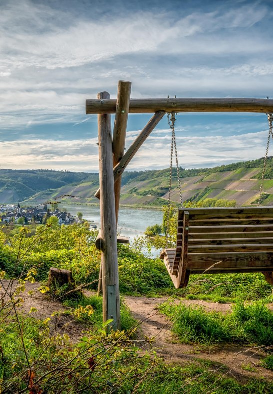 Rheinschaukel | &copy; Klaus Breitkreutz