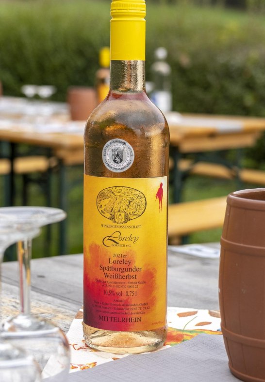 Bornicher Wein | &copy; Katja S. Verhoeven