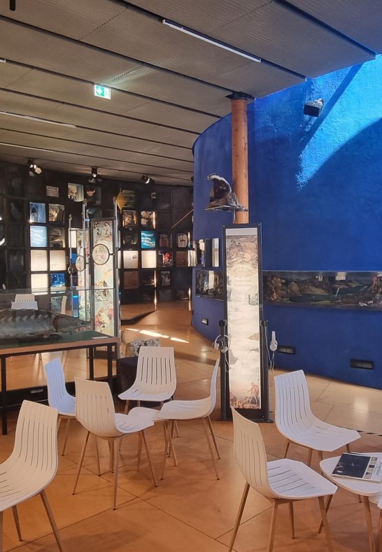 Innen | © Ulrike Dallmann Innen | © Ulrike Dallmann