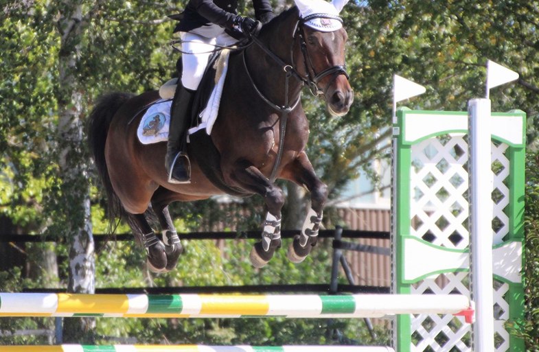 Sprung | © Isabelle Diesler Sprung | © Isabelle Diesler