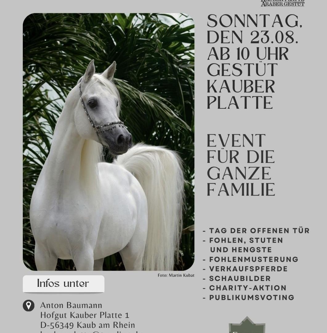 Kauber Platte | &copy; Kauber Platte