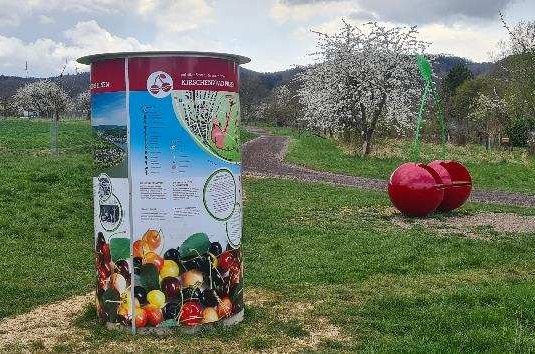 Litfasssäule mit Infos zu Kirschenpfad
Kirschsitze | © Frank Böwingloh Litfasssäule mit Infos zu Kirschenpfad
Kirschsitze | © Frank Böwingloh