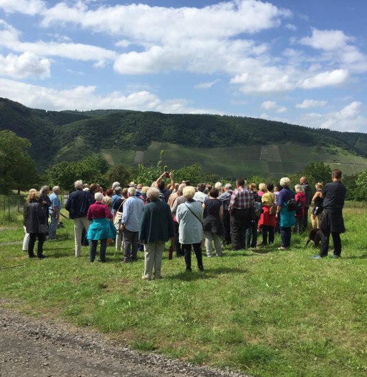 Besuchergruppe Kirschgenusswanderung | © Caroline Taunt Besuchergruppe Kirschgenusswanderung | © Caroline Taunt